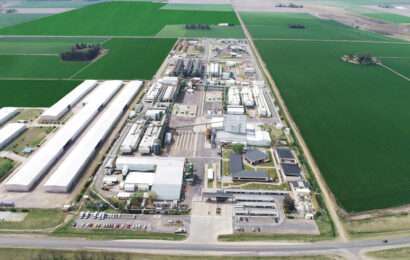 Bayer y MSU cierran acuerdo para abastecer con energía solar a la planta María Eugenia