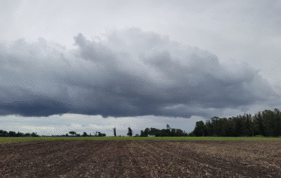 Alerta amarilla por fuertes tormentas para distritos del centro bonaerense 