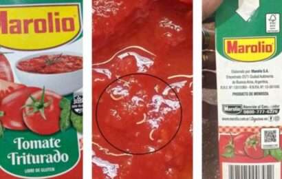 ANMAT advirtió sobre presencia de gusanos en un lote de tomate triturado 