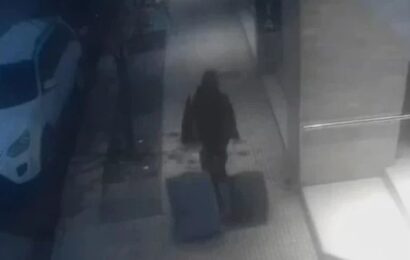 Mar del Plata: allanan la casa de una viuda negra y creen que otras víctimas no denuncian por “vergüenza” 