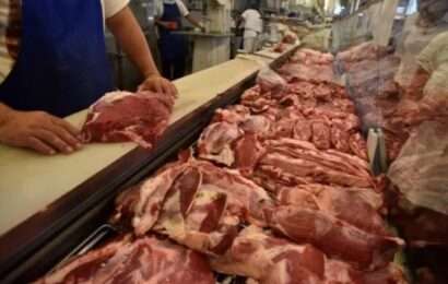 La Justicia suspendió el ingreso de asado con hueso a la Patagonia 