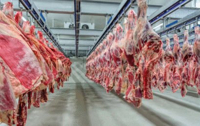 El Gobierno extendió la quita temporal de retenciones también a las carnes bovinas y avícolas 