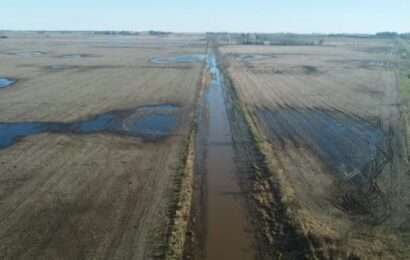 Nación declaró la emergencia agropecuaria en 12 distritos bonaerenses 