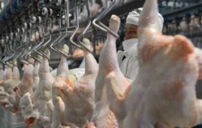 El Gobierno aclaró que las retenciones cero siguen para la exportación de carnes 