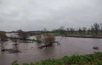 La tormenta de Santa Rosa no falló y cayeron más de 110 milímetros