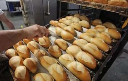 El pan en crisis: más de 600 locales cerrados y drástica caída del consumo 