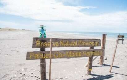 Reserva Pehuen Co-Monte Hermoso: el viaje al pasado que deslumbró a Darwin 