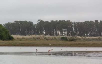 Reserva Natural Mar Chiquita, la única albufera de la Argentina 