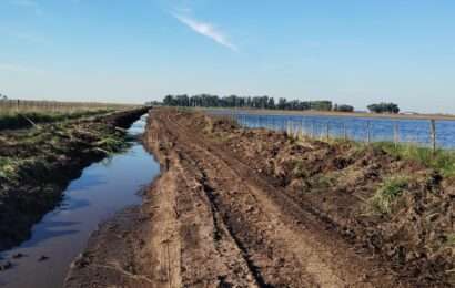 Diputados despachó una batería de leyes para llevar alivio a los productores rurales Diputados despachó una batería de leyes para llevar alivio a los productores rurales
