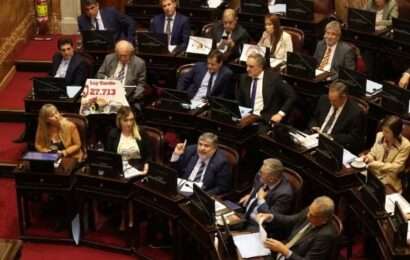 Otra derrota para Javier Milei: el Senado dejó firmes emergencia pediátrica y financiamiento universitario 