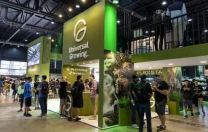 Global CannaForum: Argentina elegida como epicentro de la industria cannábica 