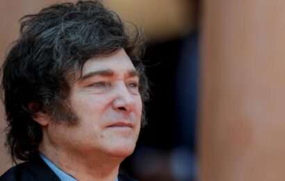 Milei: «Yo no lo eché» 