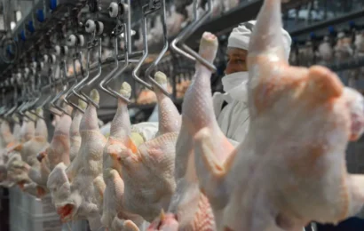 La sobreoferta de pollo hizo desplomar el precio: 2.000 pesos el kilo en supermercados