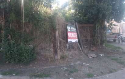 Inseguridad: Vecinos impidieron el robo a un comercio