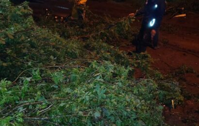Fuerte temporal en Junín: voladuras de techos, cortes de luz y familias evacuadas Fuerte temporal en Junín: voladuras de techos, cortes de luz y familias evacuadas