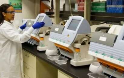 Abrió la convocatoria para las Becas Bonaerenses de Investigación 2026 