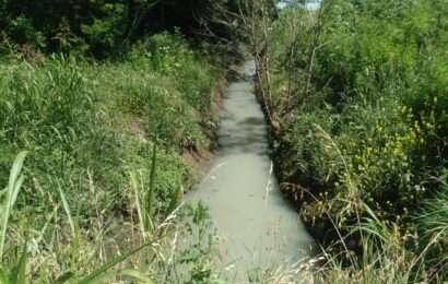 Preocupación por los residuos cloacales que llegan al Río Rojas Preocupación por los residuos cloacales que llegan al Río Rojas
