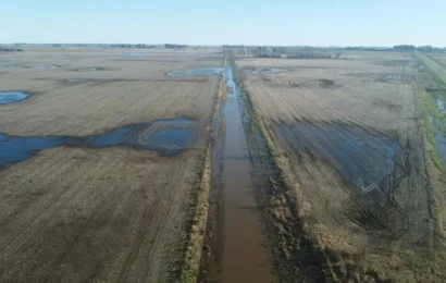Estiman en 5 millones las hectáreas afectadas por las lluvias en la provincia de Buenos Aires