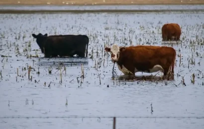 ARBA eximió este año del Inmobiliario Rural a campos de 19 distritos afectados por inundaciones ARBA eximió este año del Inmobiliario Rural a campos de 19 distritos afectados por inundaciones