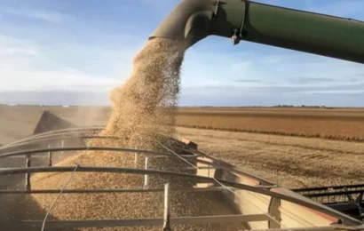 La soja alcanzó su valor más alto en 17 meses: US$421,45 la tonelada La soja alcanzó su valor más alto en 17 meses: US$421,45 la tonelada