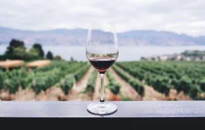 El Gobierno eliminó 973 normas y desregula la industria del vino: cuáles son los cambios 