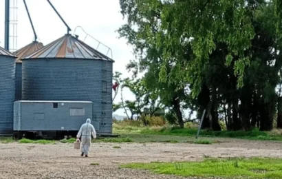 Saladillo: confirmaron un caso positivo de hantavirus Saladillo: confirmaron un caso positivo de hantavirus
