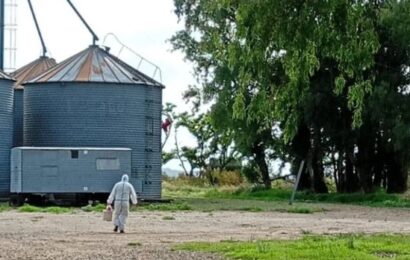 Saladillo: confirmaron un caso positivo de hantavirus Saladillo: confirmaron un caso positivo de hantavirus
