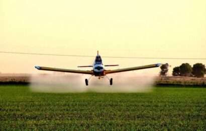 Siete productores y dos exfuncionarios municipales enfrentan juicio por uso indebido de agroquímicos Siete productores y dos exfuncionarios municipales enfrentan juicio por uso indebido de agroquímicos