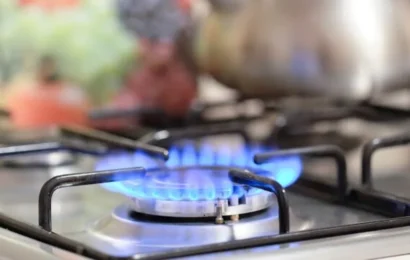 El Gobierno nacional creó un nuevo régimen para focalizar los subsidios energéticos El Gobierno nacional creó un nuevo régimen para focalizar los subsidios energéticos