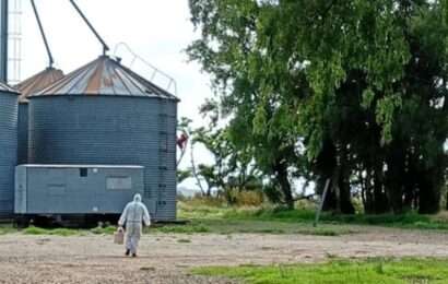 Confirman el brote de hantavirus: cuál es la situación de la provincia de Buenos Aires
