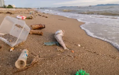 Casi el 80% de los residuos encontrados en las playas bonaerenses son plásticos