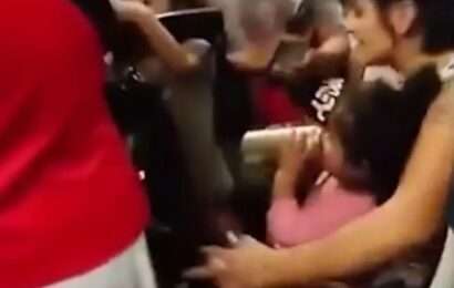 Capital Humano denunció y pidió identificar a la mujer que le dio cerveza a su bebé en un tren 