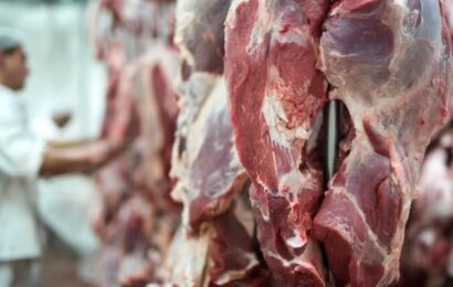 Cerró un frigorífico en el conurbano y hay 140 despidos Cerró un frigorífico en el conurbano y hay 140 despidos