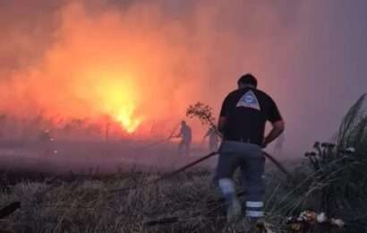 Mar del Plata: hay más de 200 hectáreas consumidas por incendios 