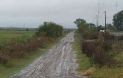 Cayeron 20 milímetros en el comienzo de la semana