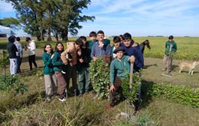 El CEPT y la Escuela Técnica cosecharon la Chacra Experimental El CEPT y la Escuela Técnica cosecharon la Chacra Experimental