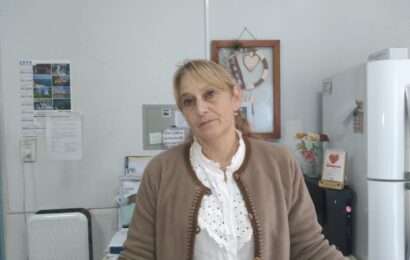 Hay novedades en el servicio de esterilización de animales