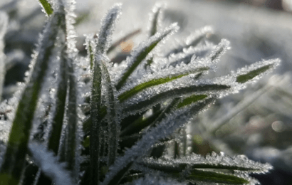 Llega el frío, más lluvias y las primeras heladas 