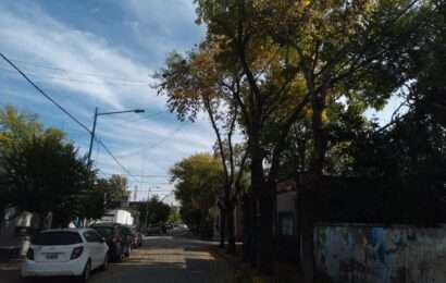 Comenzó la poda en diferentes sectores de la ciudad Comenzó la poda en diferentes sectores de la ciudad