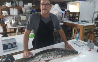 “Hace un año que prácticamente no se tocan los precios de la mercadería“