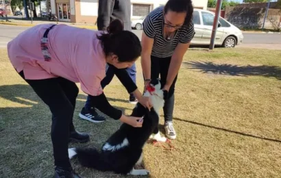 La vacunación antirrábica continúa en barrio Belgrano