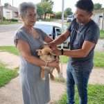 Se concretó una nueva jornada de vacunación antirrábica