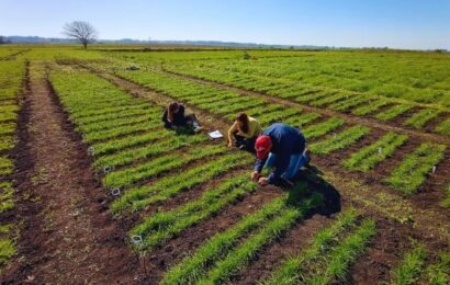 INTA Balcarce: alarma por el nuevo recorte presupuestario 