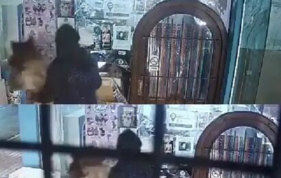 Insólito robo en Miramar: dos ladrones asaltaron un kiosco a caballo 