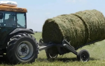 Chocó contra un tractor que circulaba con las luces tapadas y se decapitó 