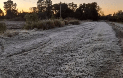 El invierno llegó con fuerza: Habrá heladas y una semana con temperaturas cercanas a 0°C El invierno llegó con fuerza: Habrá heladas y una semana con temperaturas cercanas a 0°C