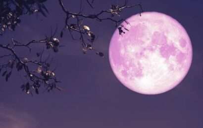 Luna de fresa: qué la distingue y a qué hora podrá apreciarse en Argentina 