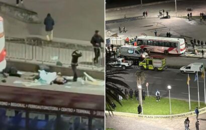 Tragedia en Mar del Plata: cuál es la principal hipótesis del siniestro vial 