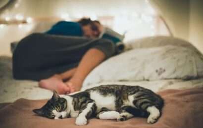 ¿Dormir con tu mascota sí o no? Qué dicen los expertos en higiene del sueño 
