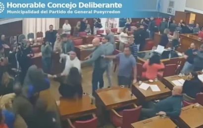 Una reunión en el Concejo Deliberante de Mar del Plata terminó a las piñas